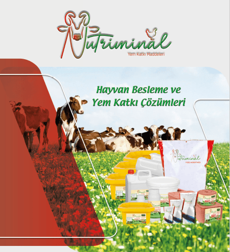 Nutriminal Yaklaşımımız